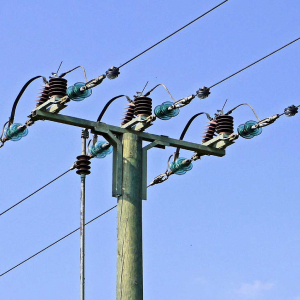 Mantenimiento de líneas de distribución eléctrica