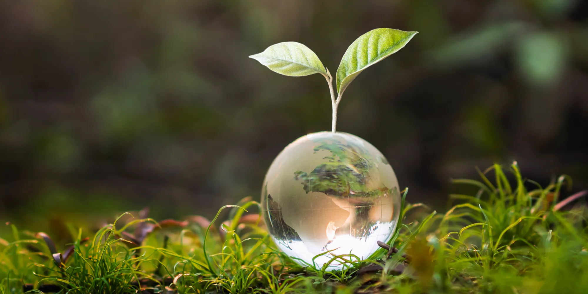 Política de Sostenibilidad